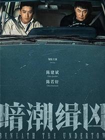 《暗潮缉凶》电视剧免费观看