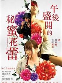 午后盛开的秘蜜花蕾